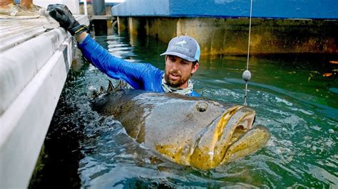a big fish|a big fish .